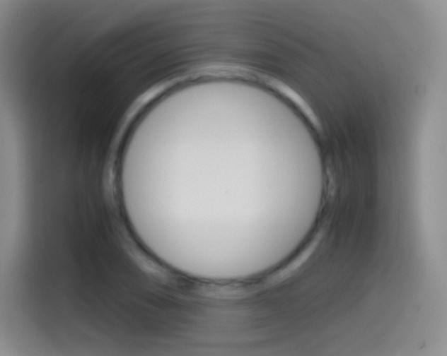 X0000114561074200910191007