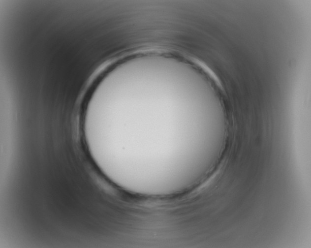 X0000114561075200910191007