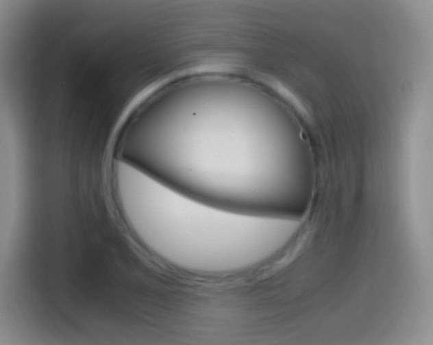 X0000114561077200910191006