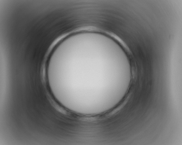 X0000114561078200910191006