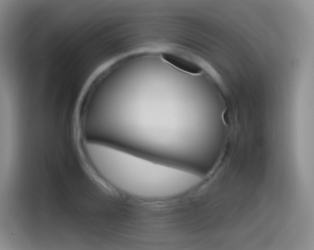 X0000114561080200910191006