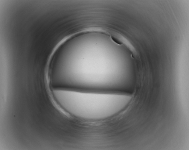 X0000114561084200910191006