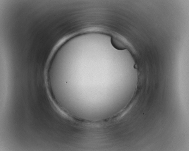 X0000114561086200910191006