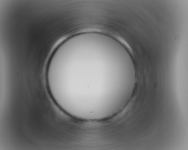 X0000114561087200910191006