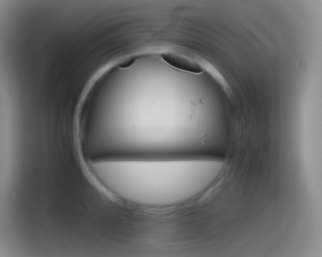 X0000114561088200910191006