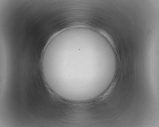 X0000114561089200910191006