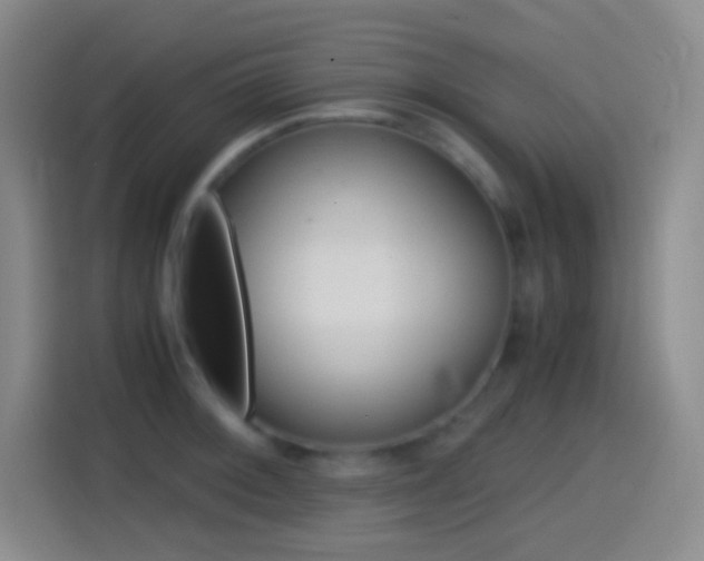 X0000114561092200910191006