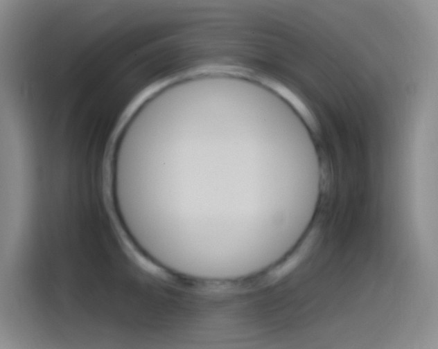 X0000114561094200910191006