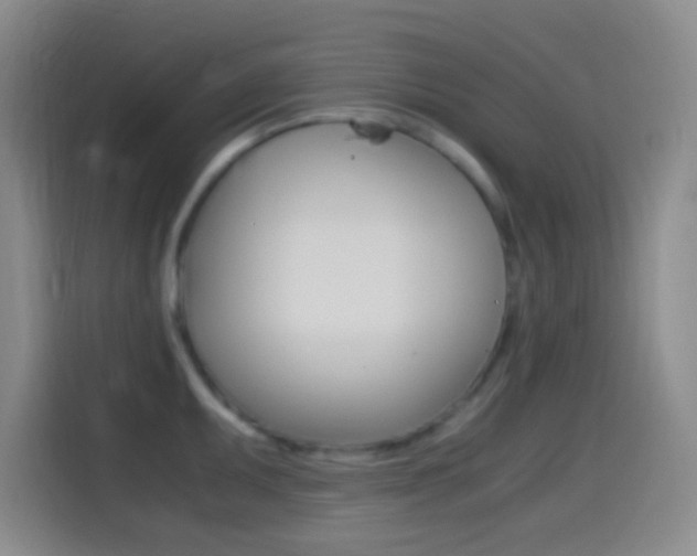 X0000114561095200910191006