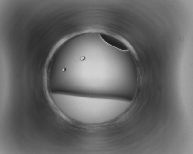 X0000114561096200910191006