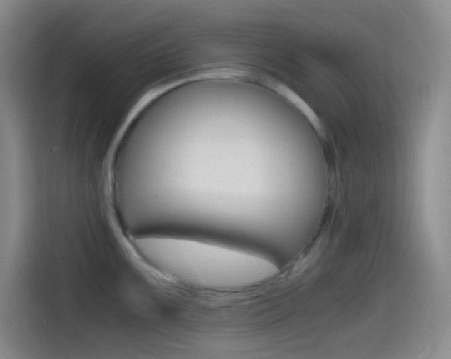 X0000114561099200910191006