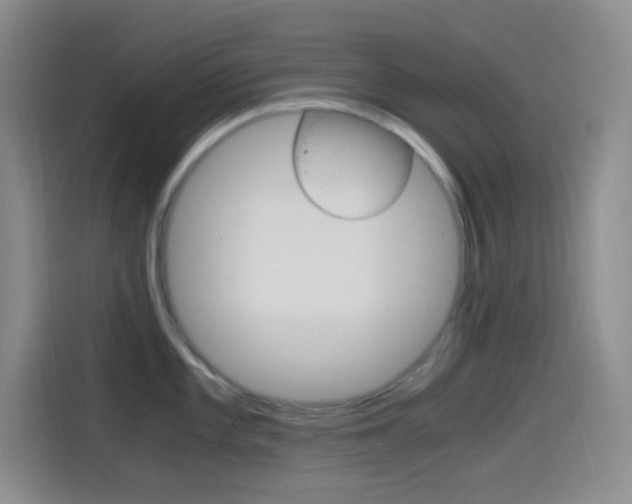X0000114561101200910191006