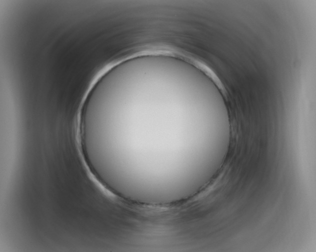 X0000114561103200910191006