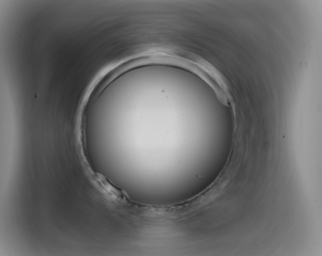 X0000114561104200910191006