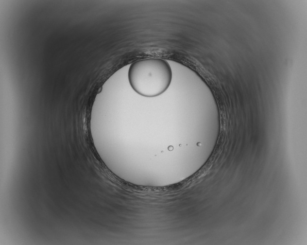 X0000114561106200910191006