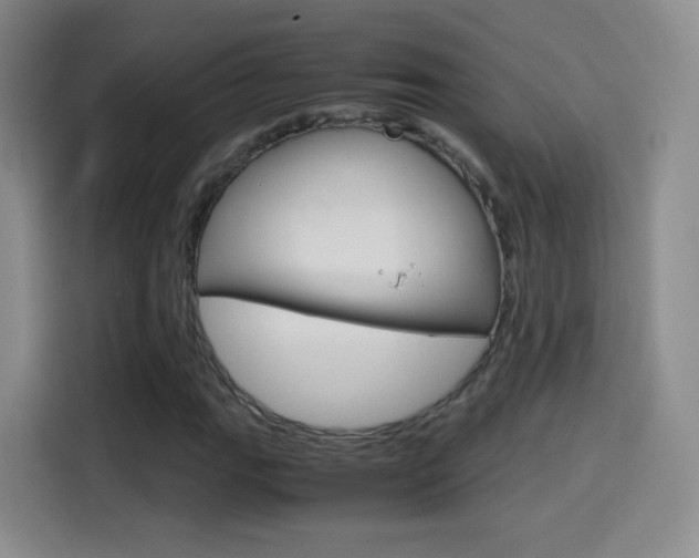 X0000114561111200910191006