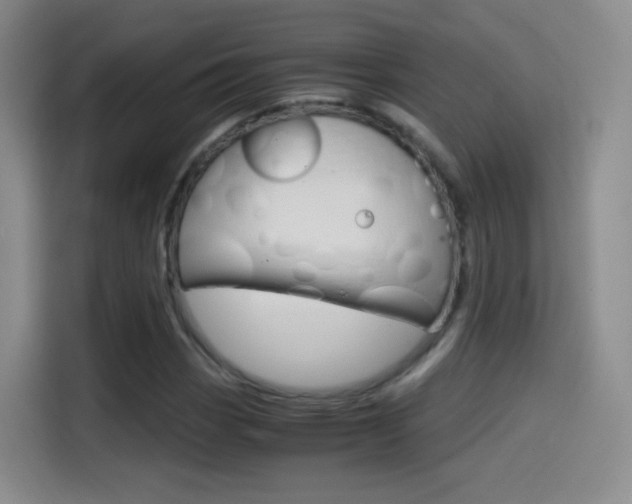 X0000114561113200910191006
