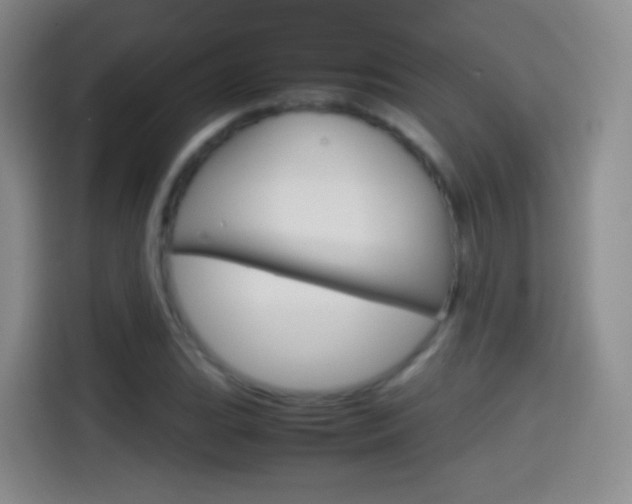 X0000114561119200910191006