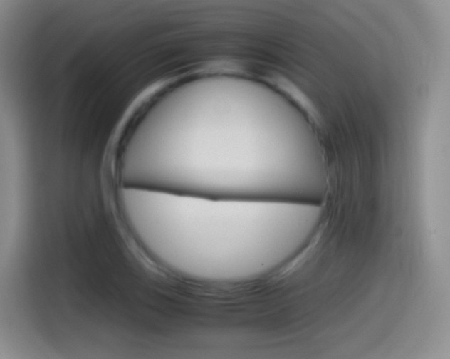 X0000114561123200910191006