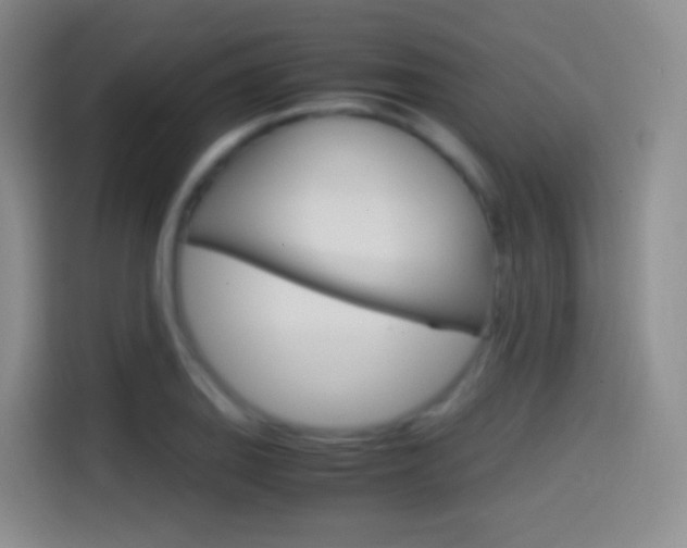 X0000114561127200910191006