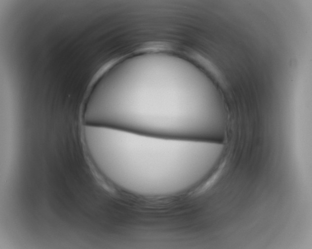 X0000114561129200910191006