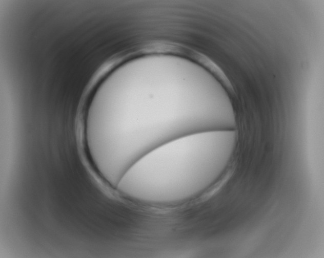 X0000114561130200910191006