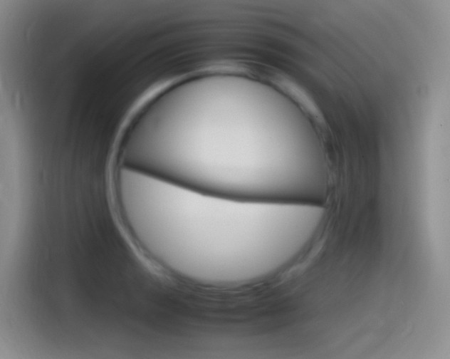 X0000114561133200910191006