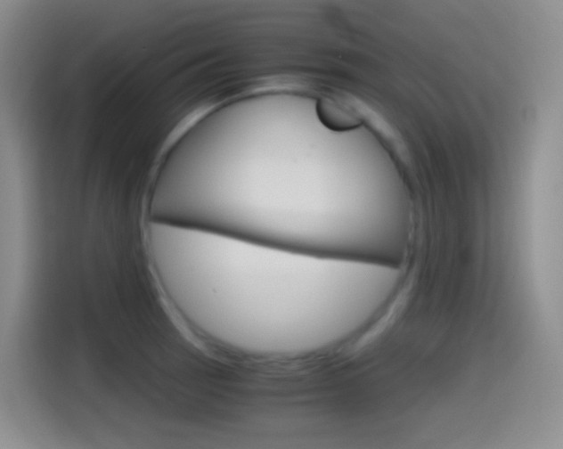 X0000114561137200910191006