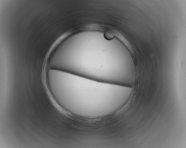 X0000114561139200910191006