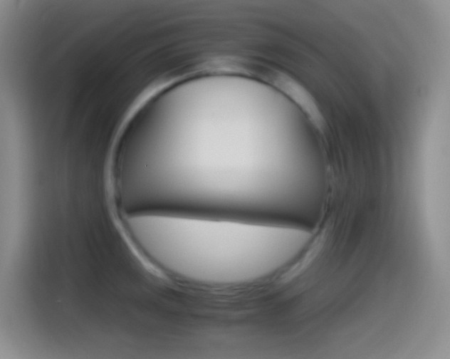 X0000114561141200910191006