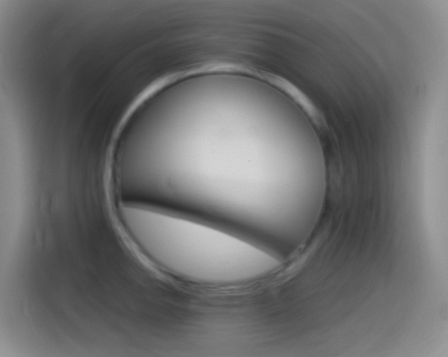 X0000114561142200910191006