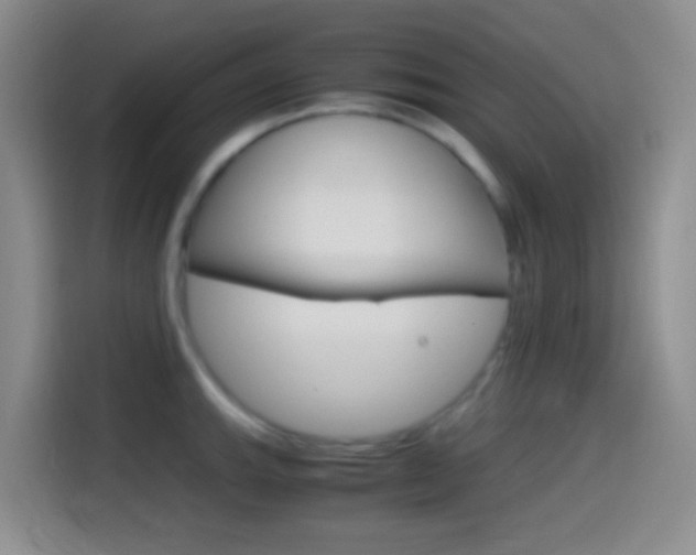 X0000114561143200910191006
