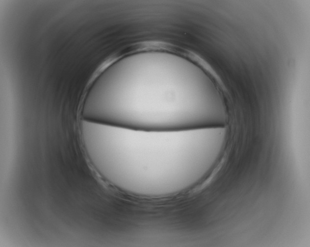 X0000114561145200910191006