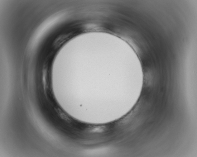 X0000114561150200910191006
