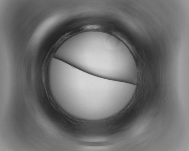 X0000114561151200910191006