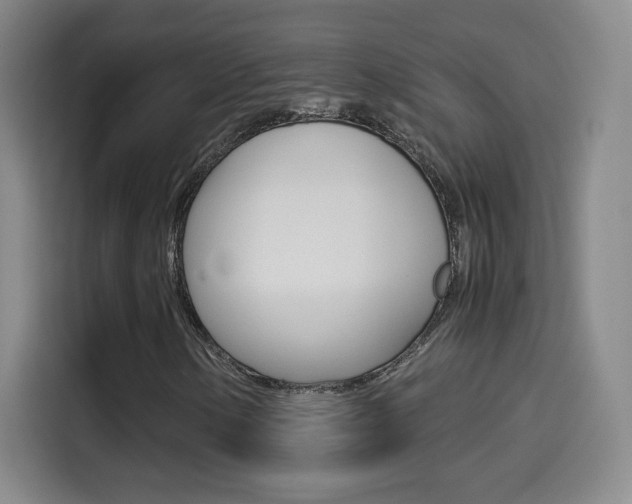 X0000114561154200910191005