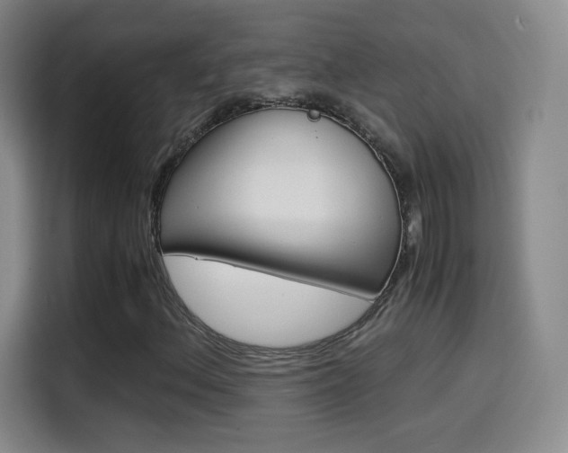X0000114561156200910191005