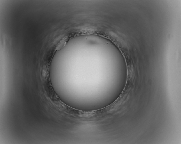 X0000114561157200910191005