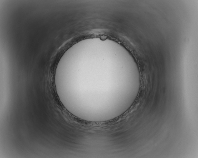 X0000114561158200910191005