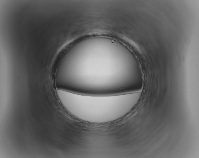 X0000114561160200910191005