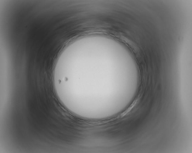 X0000114561161200910191005