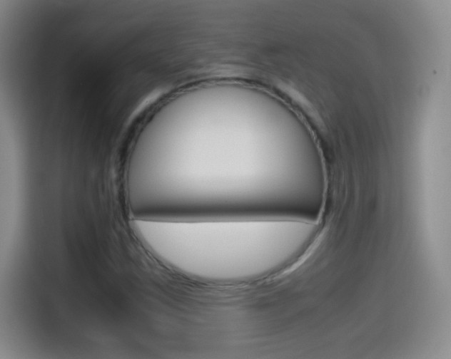 X0000114561163200910191005