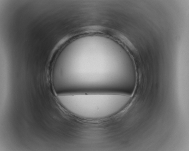 X0000114561164200910191005