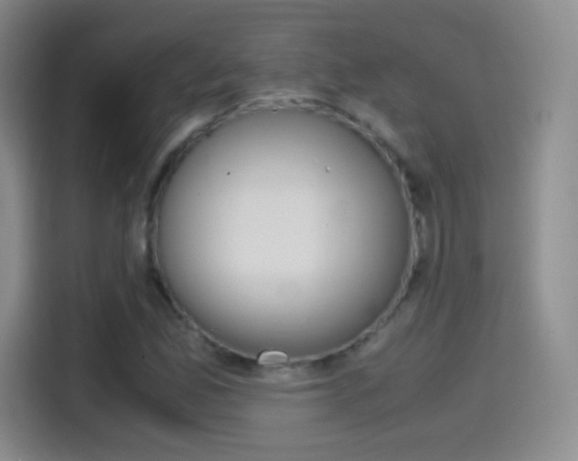 X0000114561165200910191005