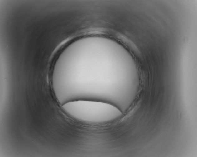 X0000114561166200910191005
