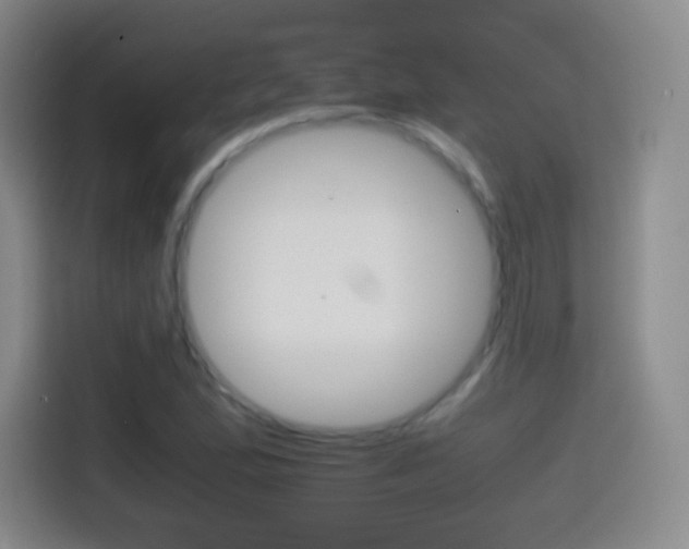 X0000114561167200910191005