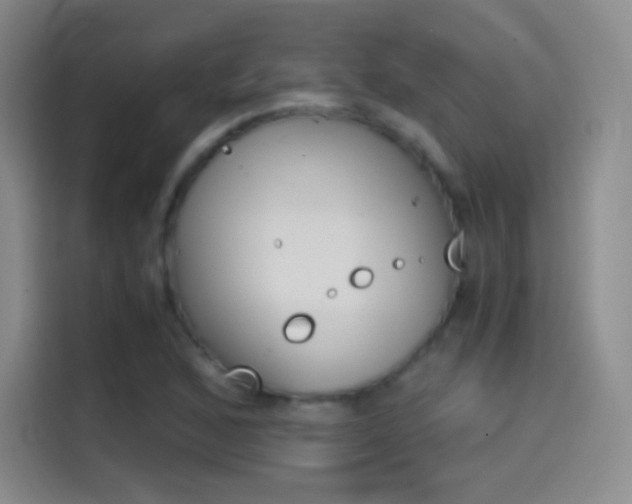 X0000114561168200910191005
