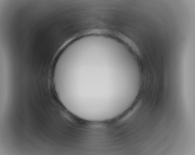 X0000114561170200910191005