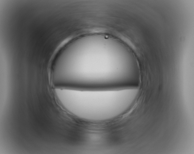 X0000114561171200910191005