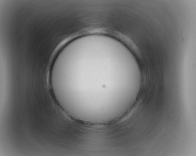 X0000114561174200910191005